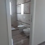 Il Saraceno